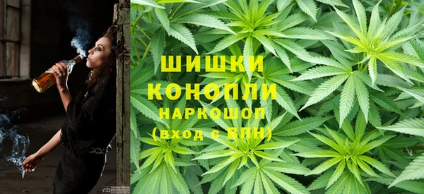 крисы Нягань