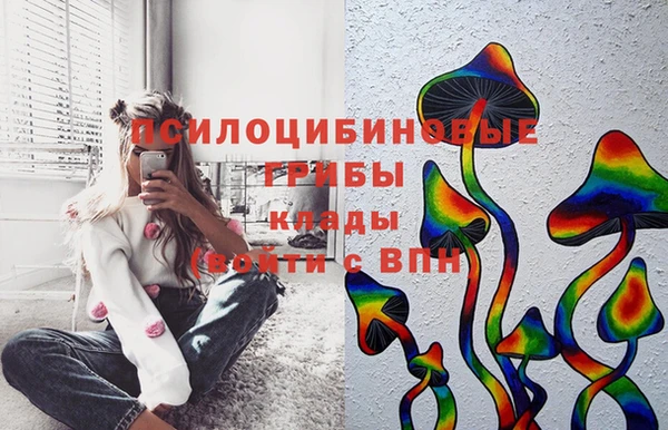 apvp Абаза