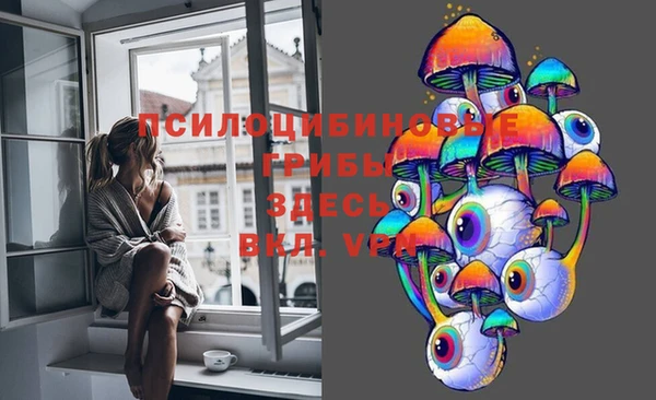 гашиш Няндома