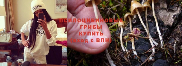 apvp Абаза