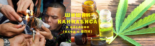 прущие грибы Нязепетровск