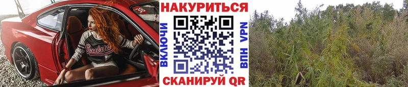 Каннабис SATIVA & INDICA  Никольск 